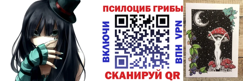 Псилоцибиновые грибы Psilocybe  закладка  МЕГА сайт  Пустошка 